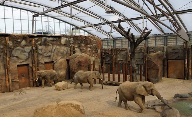 Afrikahaus Zoo